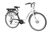 F.lli Schiano E-Moon, E Bike für die Stadt 28 Zoll, 36V 13Ah Abnehmbarer Akku, Motor 250W 40Nm, City Ebike für...