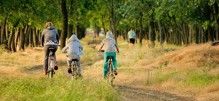 Sternfahrt in der Veluwe